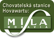Mlas Moravia