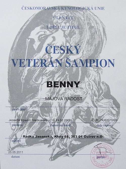 Český veterán šampion Benny Májová radost Český veterán šampion Benny Májová radost