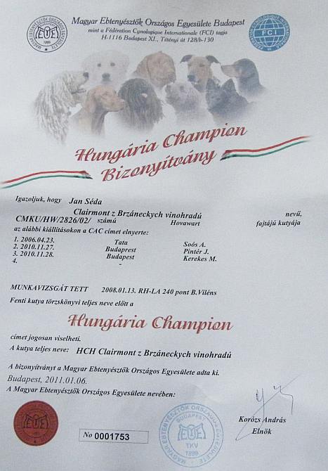 Hungária Champion Clairmont z Brzáneckých vinohradů Hungária Champion Clairmont z Brzáneckých vinohradů