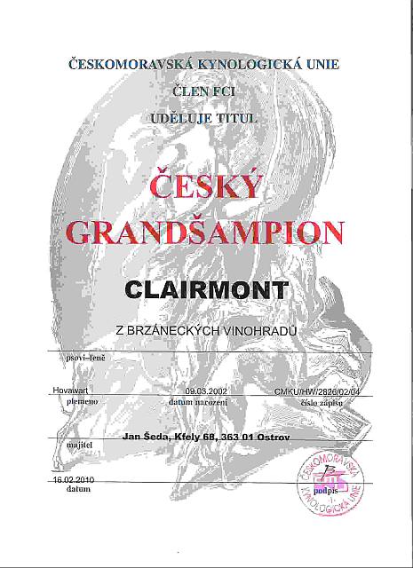 Tschechisch Grandchampion Clairmont z Brzaneckych vinohradu Tschechisch Grandchampion Clairmont z Brzaneckych vinohradu