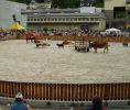 show