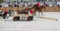 show