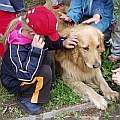 Kindergarten